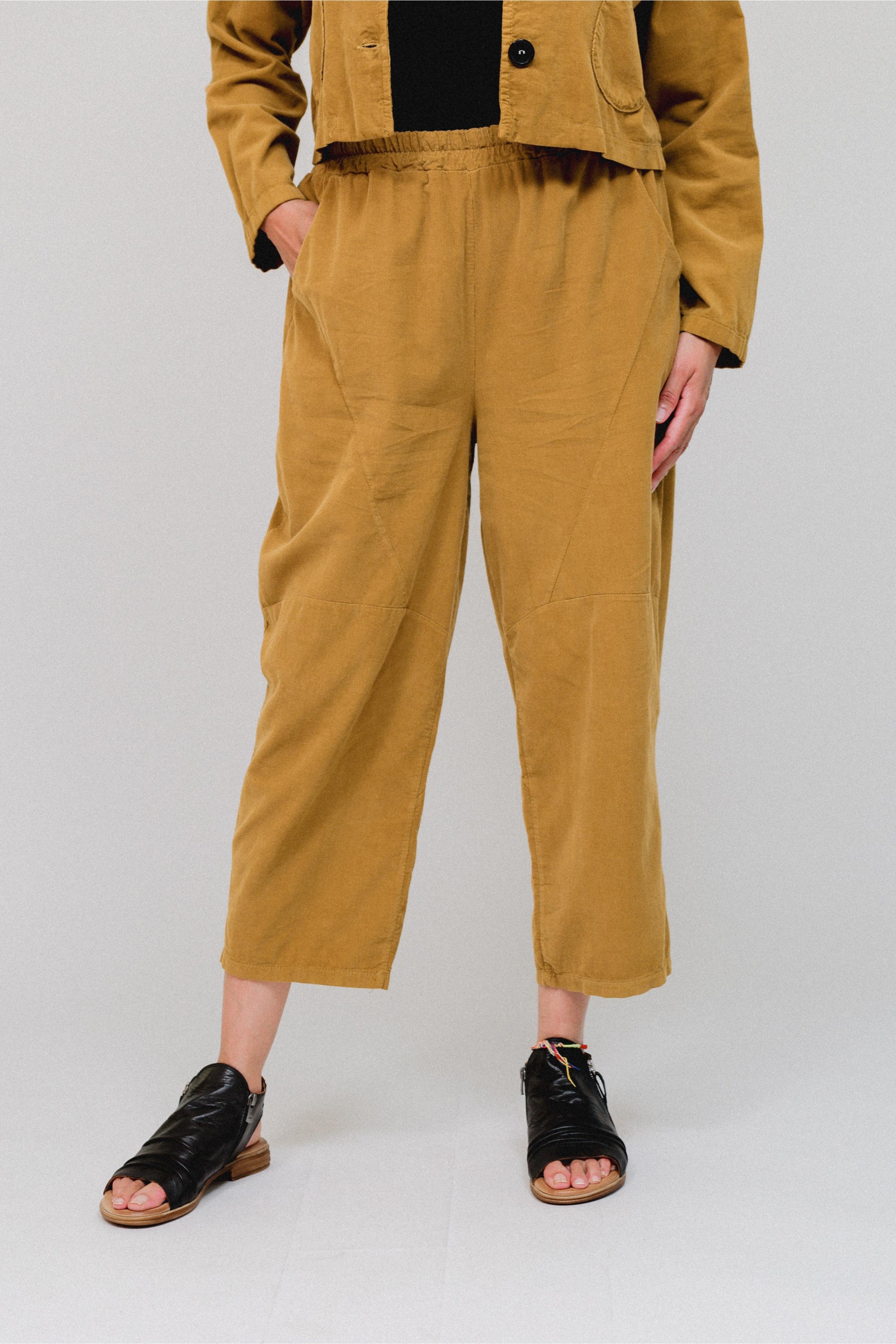 Tapered Hem Pants in Mustard_Front