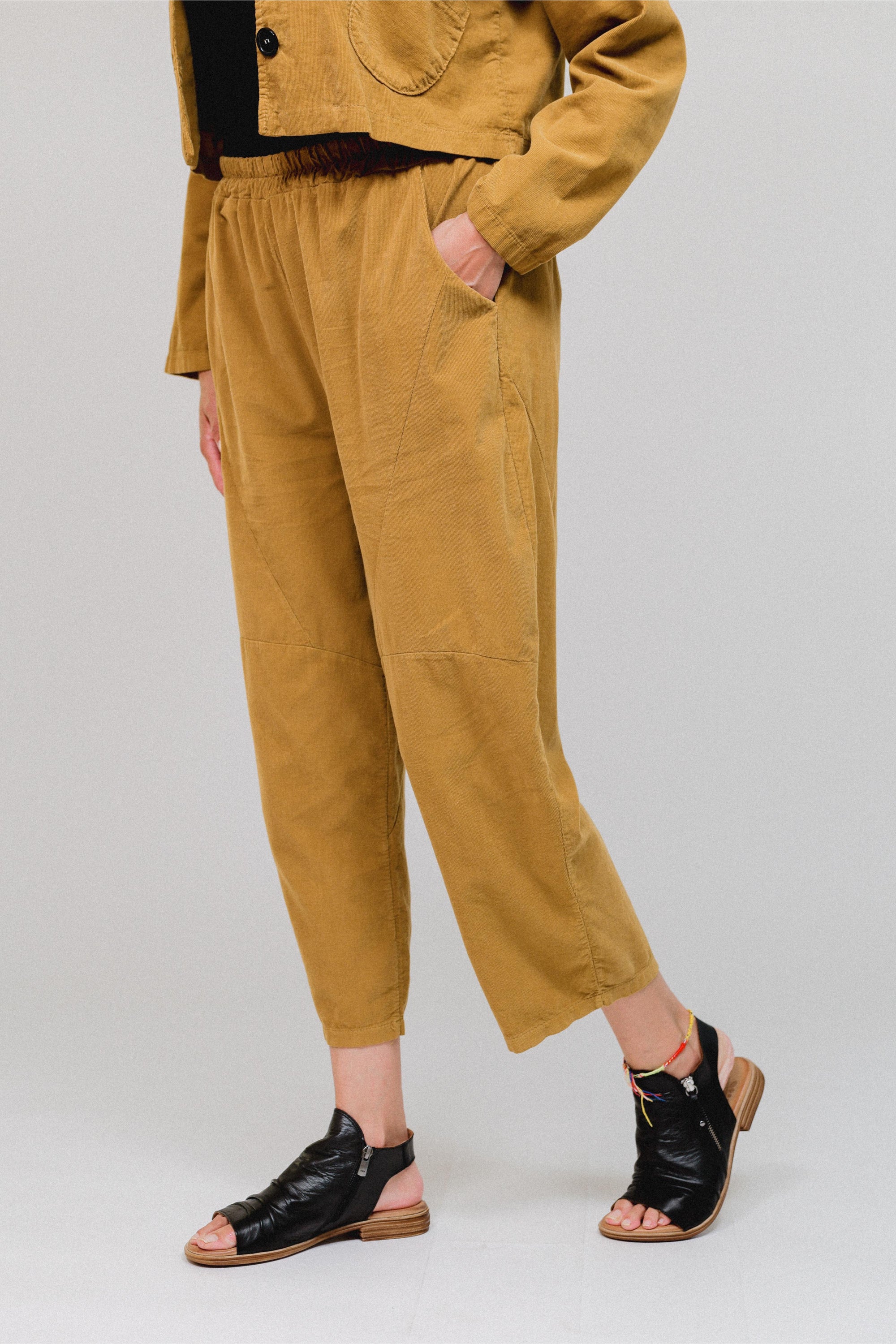 Tapered Hem Pants in Mustard_Side