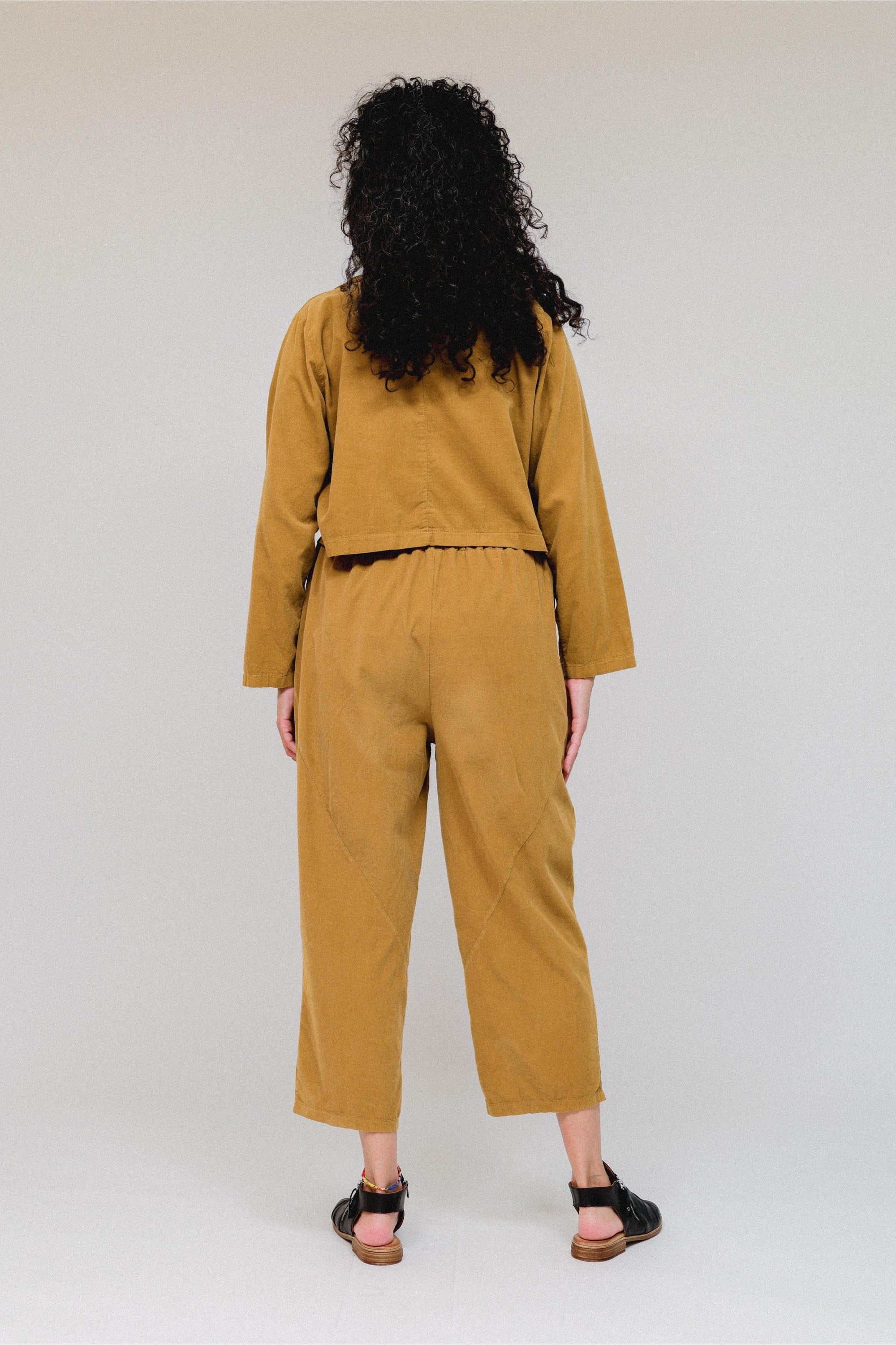 Tapered Hem Pants in Mustard_Back