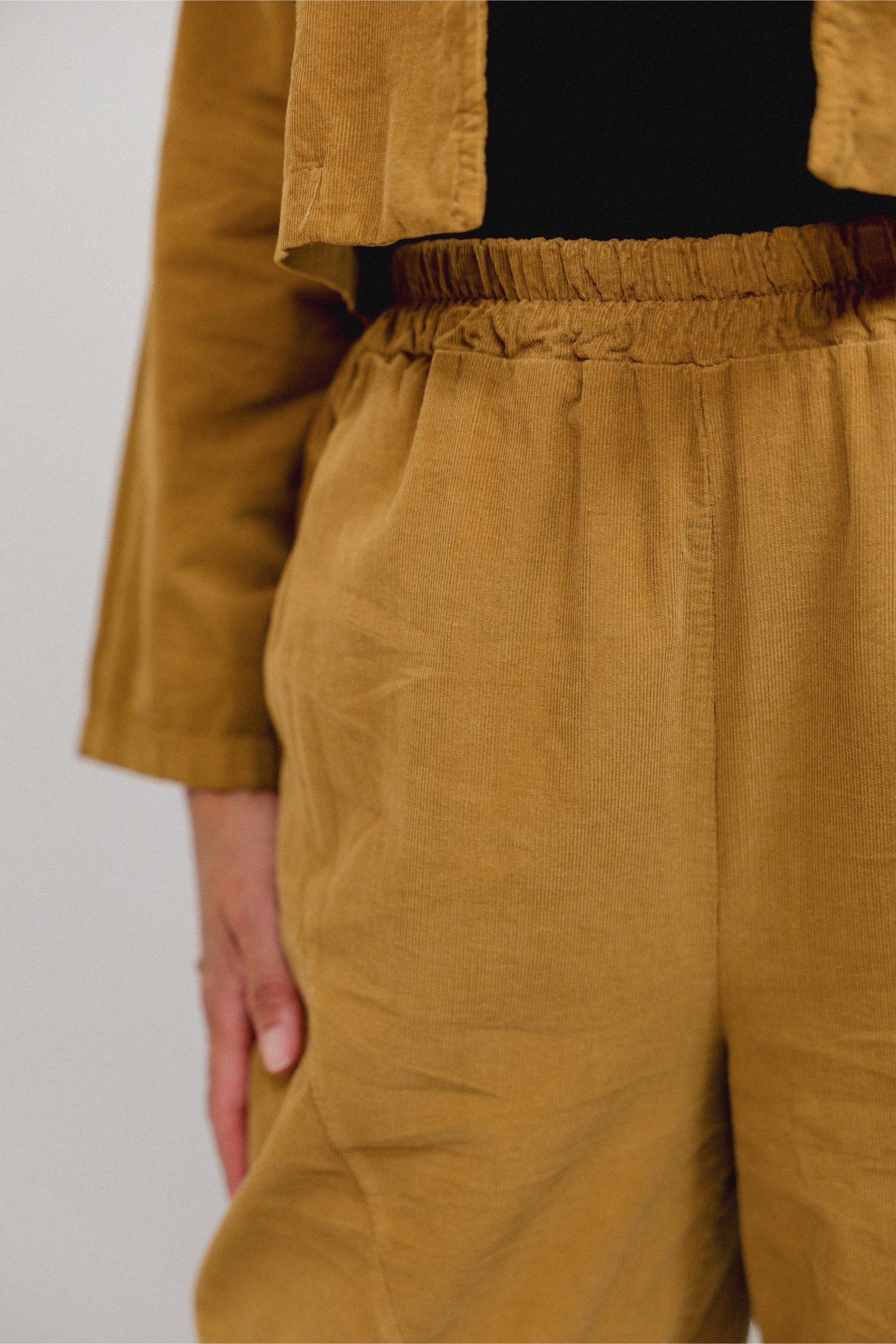 Tapered Hem Pants in Mustard_Detail